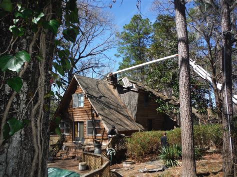 Tree Removal Photos - Tree Trimming In Myrtle Beach SC