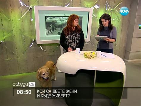 Как Фейсбук обява намери кучето Доро - Nova.bg