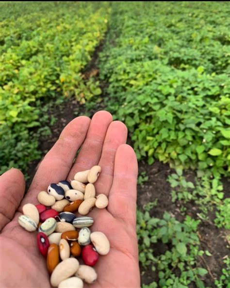 We feel it’s so important to get to... - Urban Garden Market