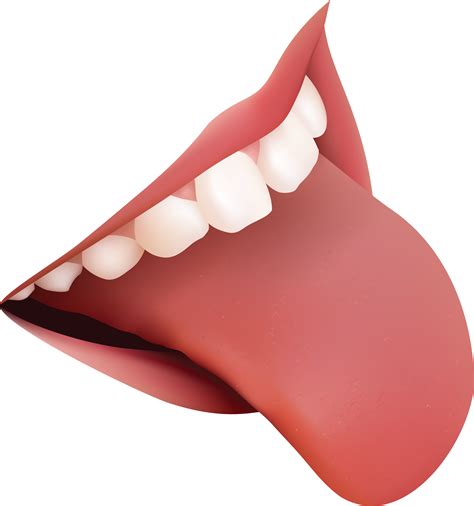Tongue PNG transparent image download, size: 2809x3000px