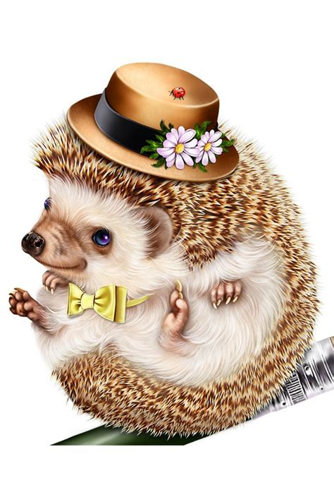 Hedgehogs. Ёжики. PNG. | Милые рисунки, Рисунки животных, Ежики
