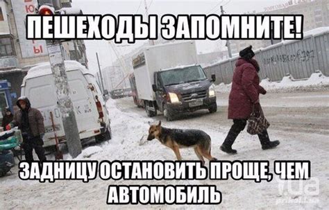 Приколи - картинки, відео приколи, смішні історії та анекдоти
