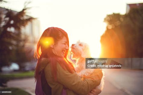 Dogs Love High-Res Stock Photo - Getty Images
