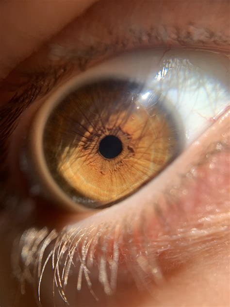 Golden eyes : r/eyes