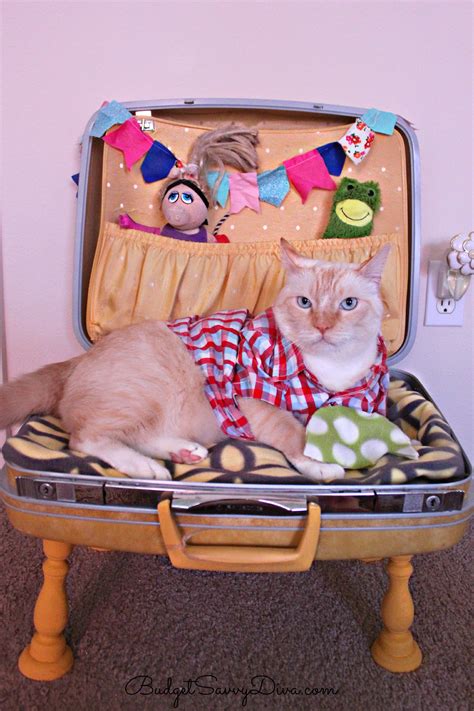 How to Make a Vintage Suitcase Pet Bed - Budget Savvy Diva