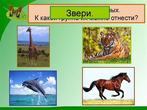 Какие бывают животные. (Окружающий мир. 2 класс) - презентация онлайн