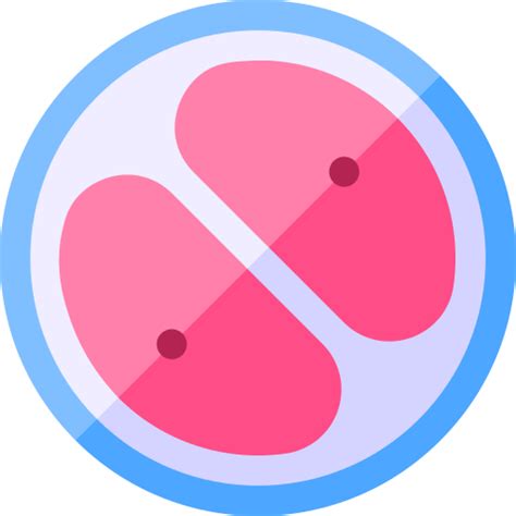 Ícone de Zigoto Basic Rounded Flat
