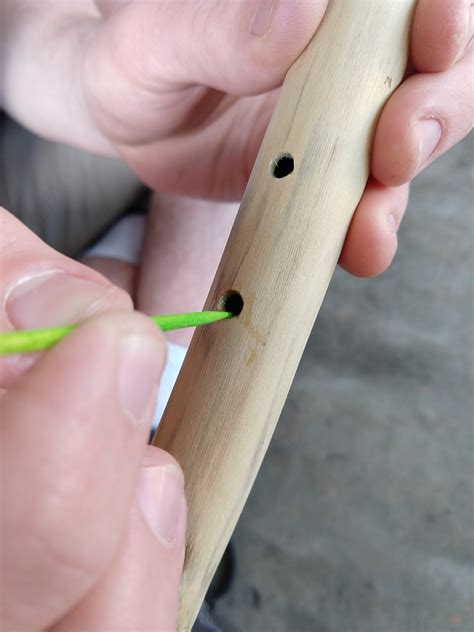 The Broken Flute 1