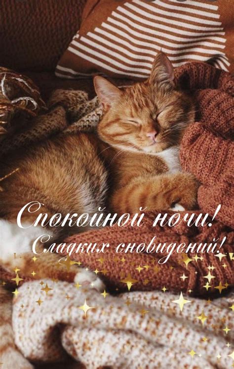 Спокойной ночи | Guten morgen
