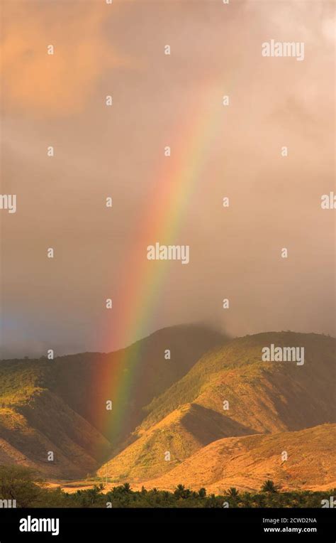 vertical rainbow  res stock photography  images alamy