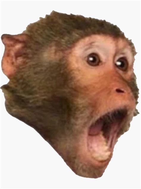 "Monkey Pog" Sticker by txmatt0408 | Redbubble