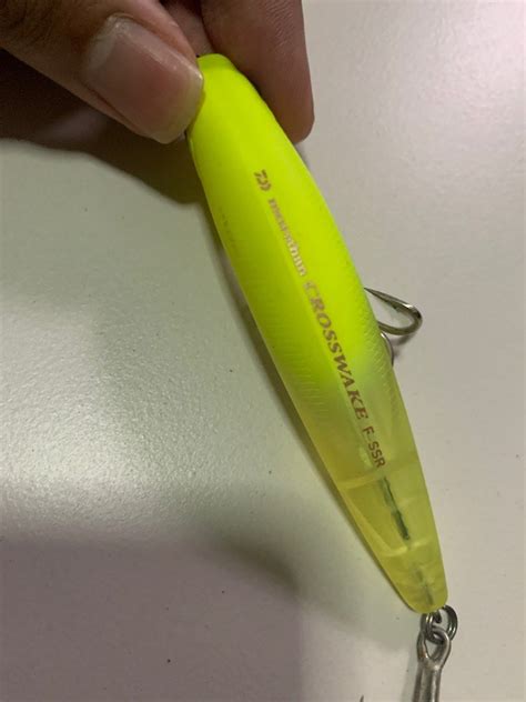 Daiwa morethan crosswake lure, Sports Equipment, Fishing on Carousell