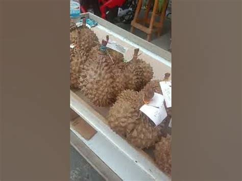 sweet dorian fruits ️ ️ - YouTube