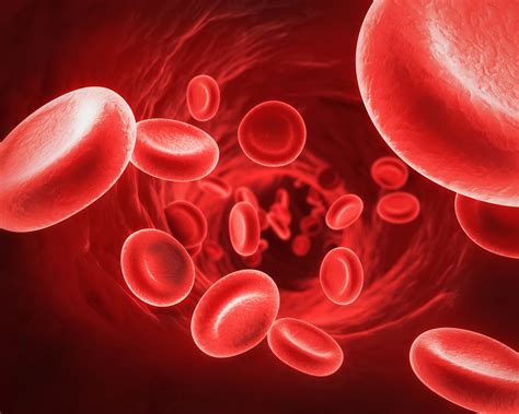 iron in blood | chemical elements