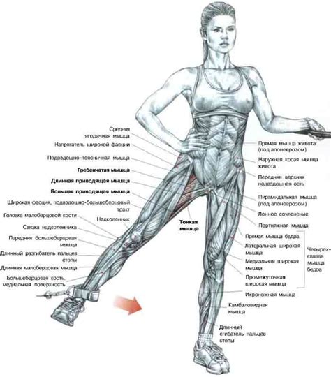 Pinterest | Фитнес, Упражнения, Деятельность человеческого тела