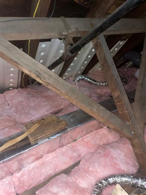 Full before and after rodent infestation - Master Attic