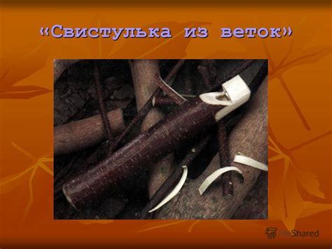 Презентация на тему: "«Свистулька из веток» Выполнил : ученик 10 класса ...