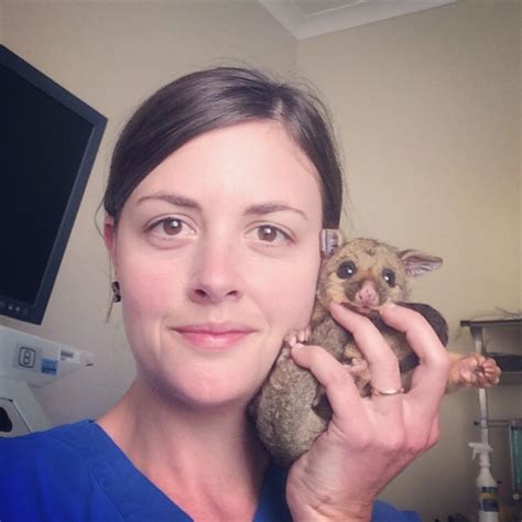 Being a wildlife vet — Vet Tails