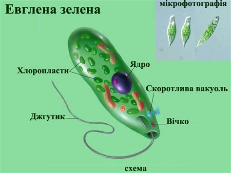 Світ біології