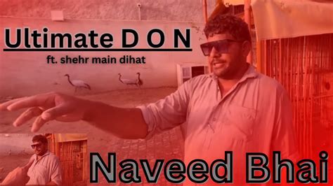naveed bhai respect shehrmaindihat turab youtube