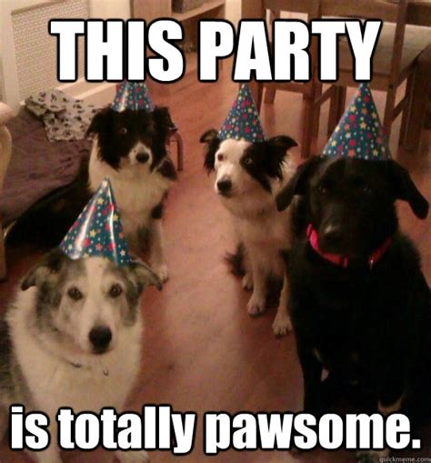 THIS PARTY is totally pawsome. - Party Animals - quickmeme