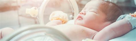 birth defects vermont department  health