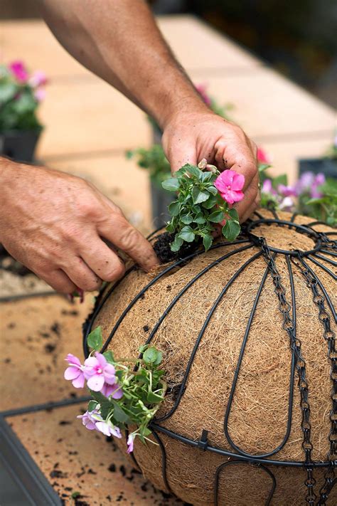 hanging baskets containers  marilyn roslyn blog