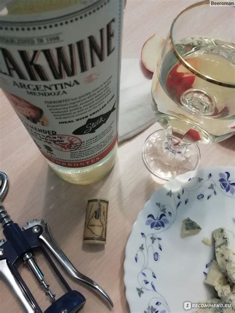 Вино белое полусухое Steakwine Mendoza Torrontes - «Аргентинские яблоки ...