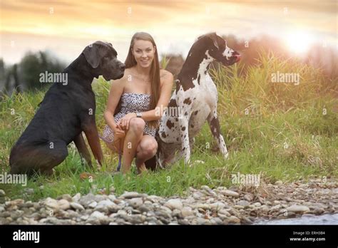 woman and Great Dane Stock Photo - Alamy