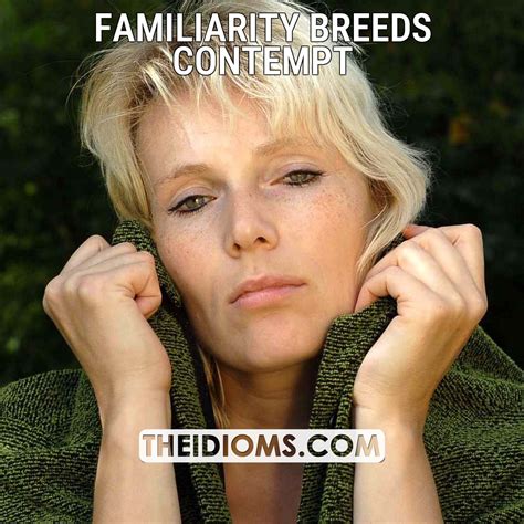 familiarity breeds contempt meaning, origin, example, sentence, etymology