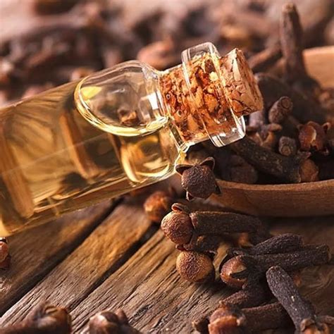 skin care  curing diabetes magical health benefits  clove oil