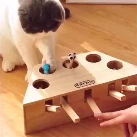 Whack a mole cat toy – Artofit