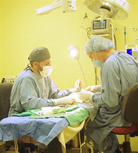 jensen's animal hospital