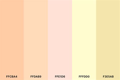 20+ Best Peach Color Palettes for 2024 (Colors That Go With Peach