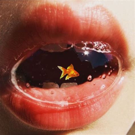 YOLOWWH (1107947896yolo) - Profile | Pinterest
