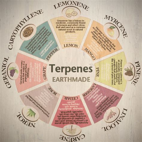 Exploring Terpenes: Aromatic Compounds in a Remarkable Terpene Chart