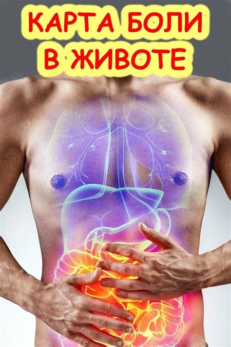 Карта боли в животе и как по ней распознать болезнь | Health fitness ...