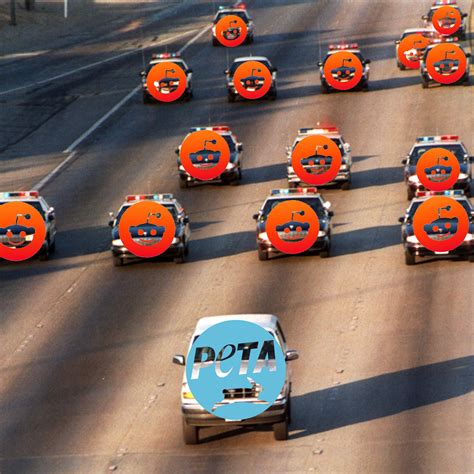 Today on Reddit : r/memes