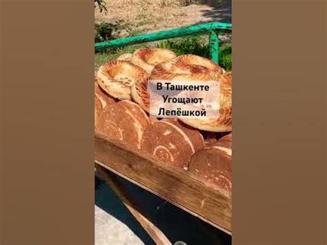В Ташкенте угощают, лепёшкой! #узбекистан#ташкент#лепешки#людидобрые# ...