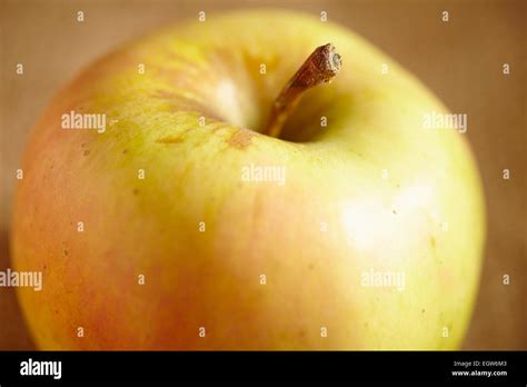 mutsu apple stock photo alamy