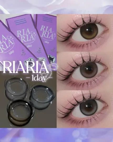 dayriaria dayriaria