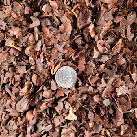 Bagged Mulch Cocoa Bean Shells | Van Putte Gardens