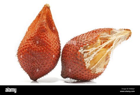 snake skin fruit salak fruit isolated  white background stock photo