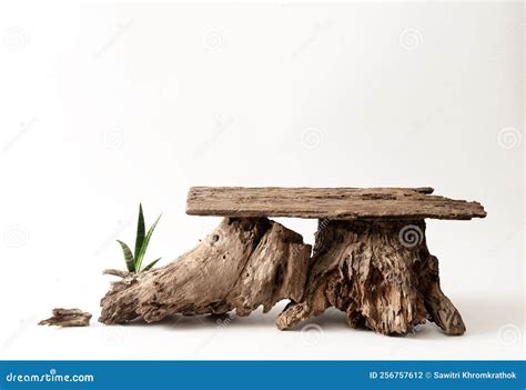 Wood Product Display Podium with Nature Green Leaves Stock Photo ...