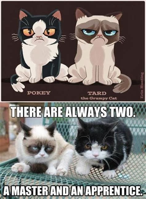 Awesome Animals : THERE ARE ALWAYS TWO.
