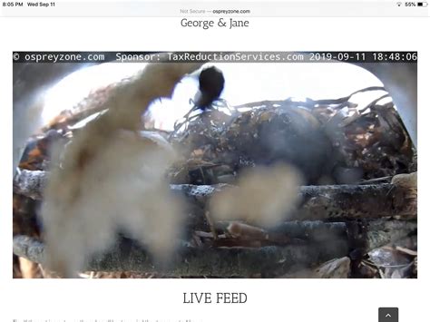 Osprey Zone - Live Osprey Cam - North Fork, Long Island, New York