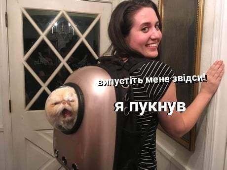 Pin van Orysya L. op Humor 😸😹