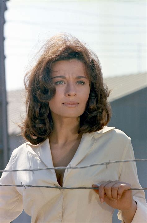 Colonel von Ryans Express | Film-Rezensionen.de