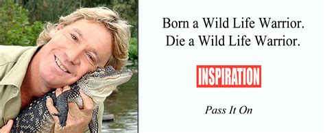 Steve Irwin Funny Quotes. QuotesGram