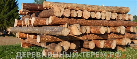 Срубы из зимнего леса заказать в Перми. Зимний лес в наличии